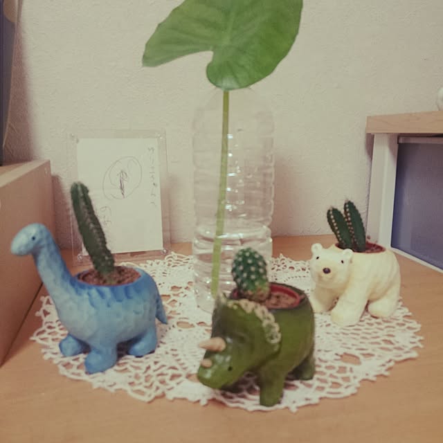 lilyさんの実例写真
