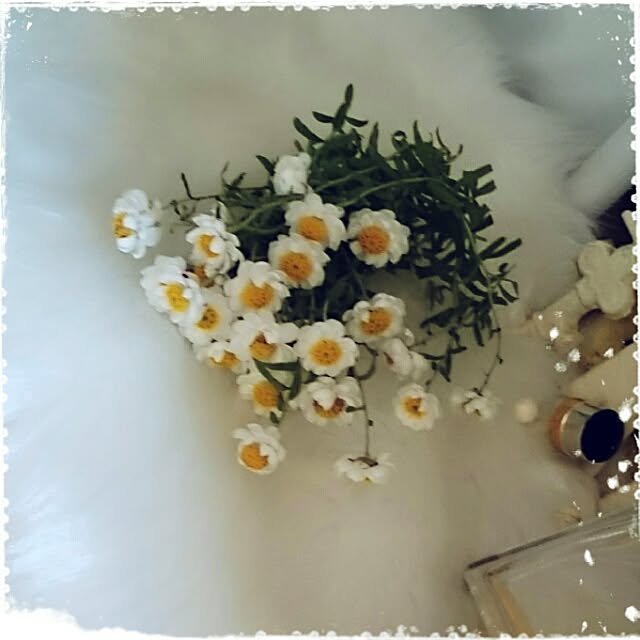 OBTERNIR88filerさんの実例写真