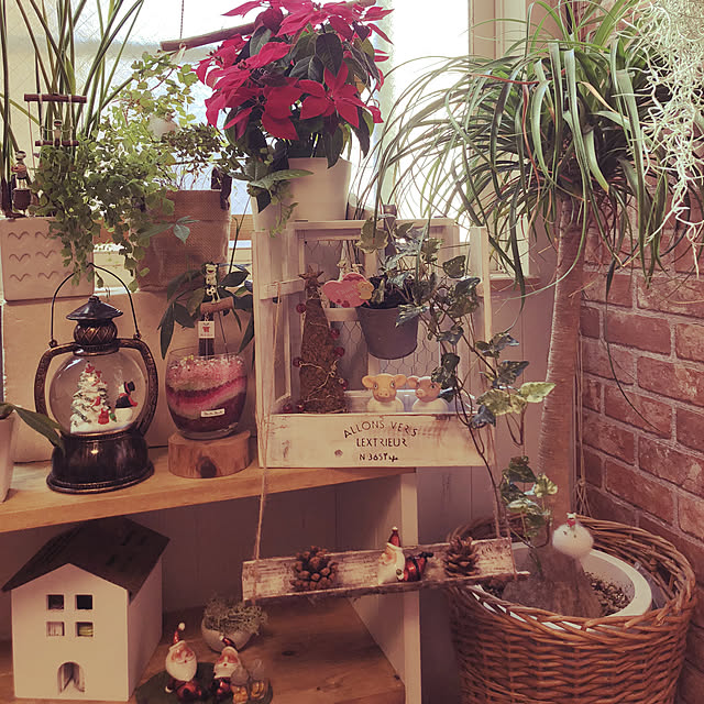 michiさんの実例写真