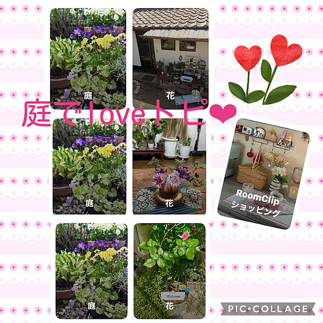 CoCo0617さんの実例写真