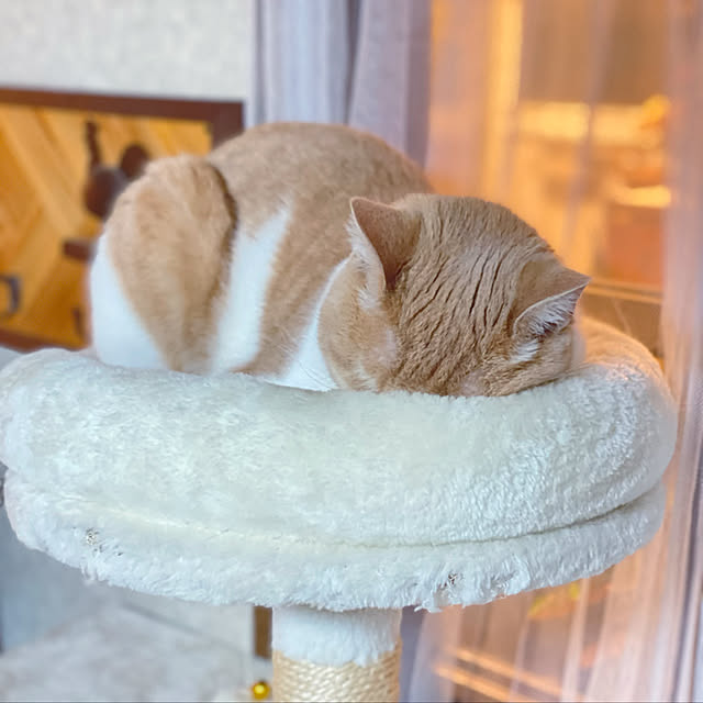 mintteaさんの実例写真
