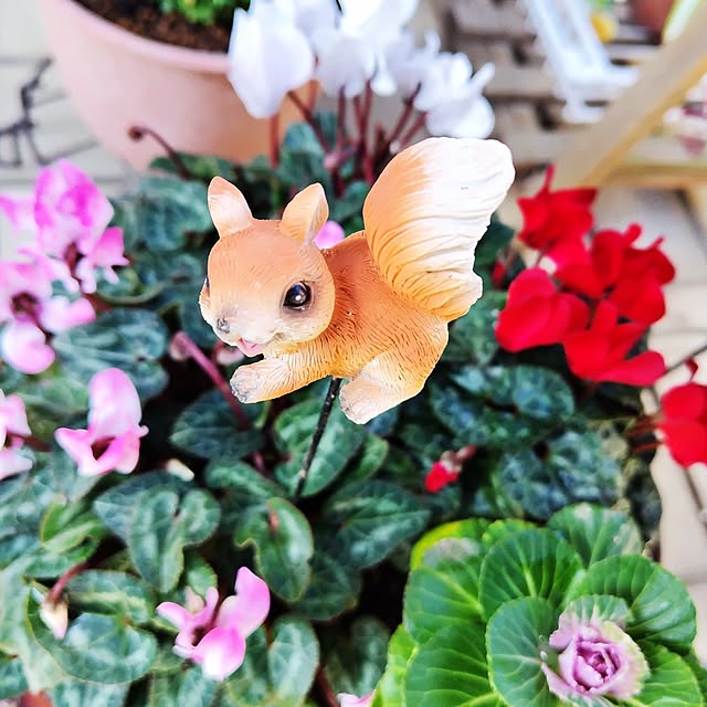 katさんの実例写真