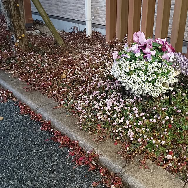 soyokoさんの実例写真