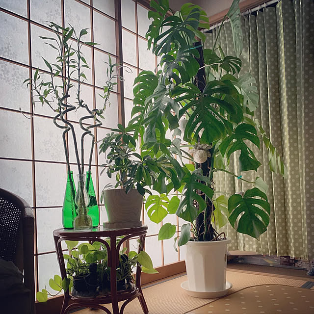 noinoi99さんの実例写真