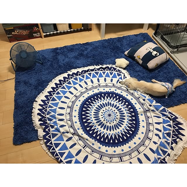 yu.813さんの実例写真