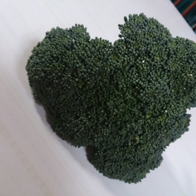 kikuさんの実例写真