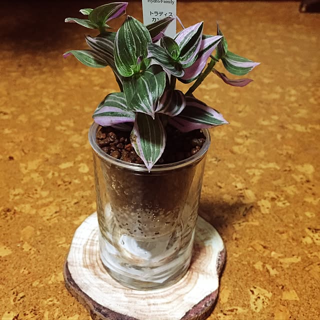 mimoeeeeeさんの実例写真