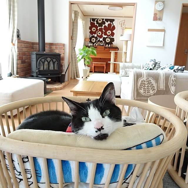 kobapiさんの実例写真