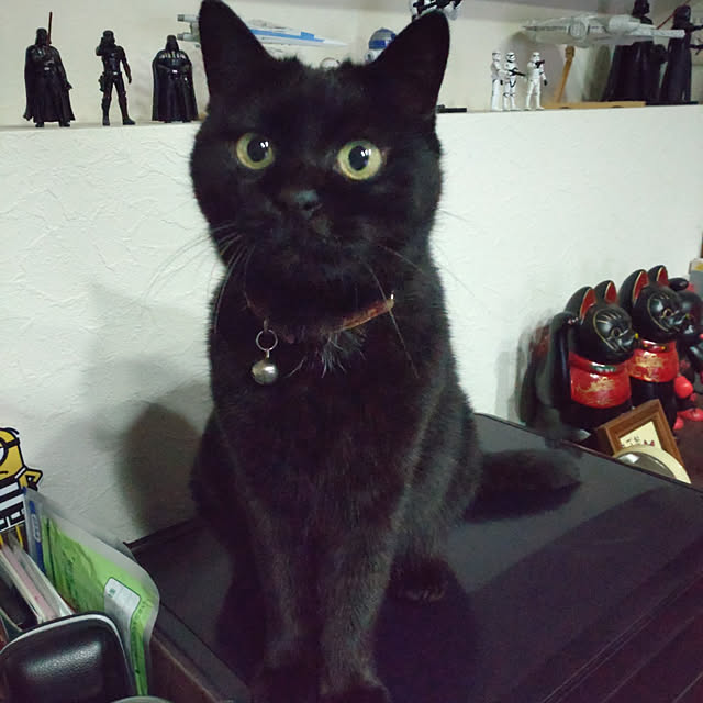 kuroさんの実例写真