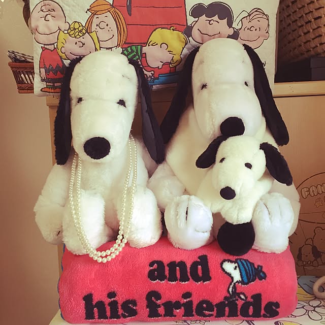 snoopy1986さんの実例写真