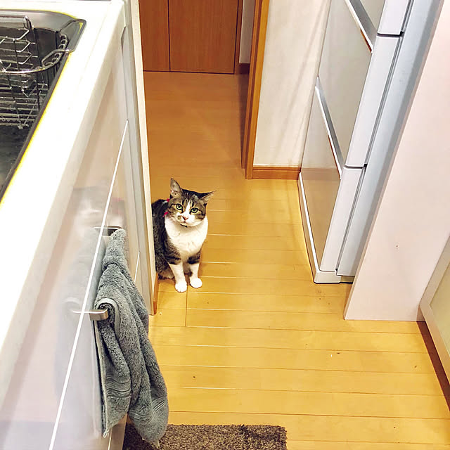 nnmmさんの実例写真