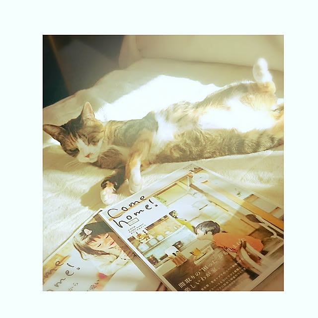 mofukoさんの実例写真
