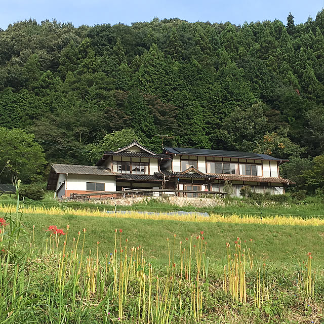 Naoさんの実例写真