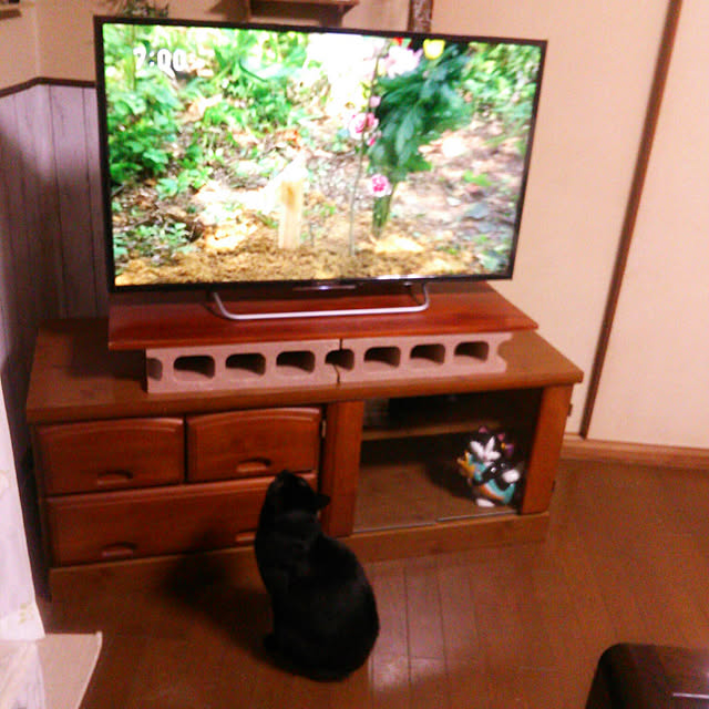 Tomopさんの実例写真