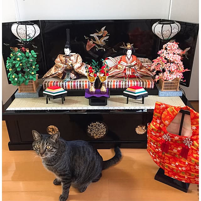 nyan.73さんの実例写真