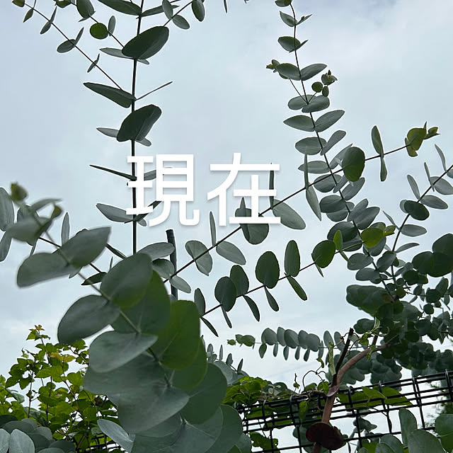 Fumiさんの部屋