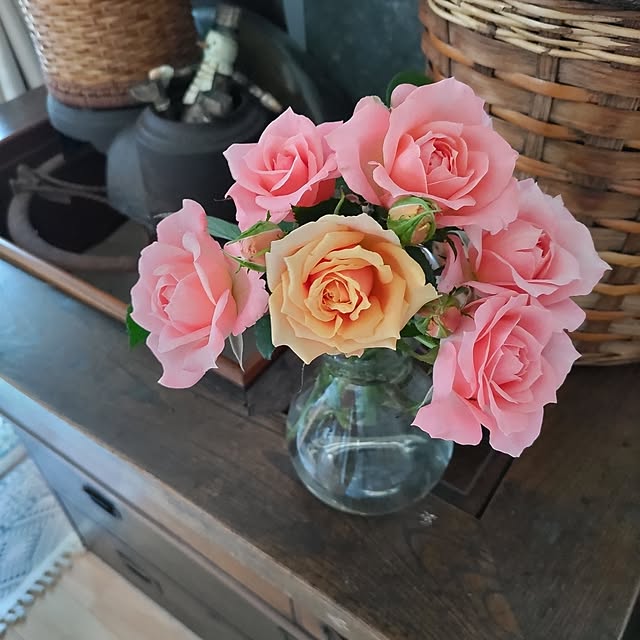 salacocoさんの部屋