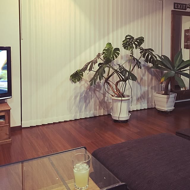 tkc034さんの実例写真