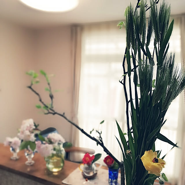 bambiさんの実例写真