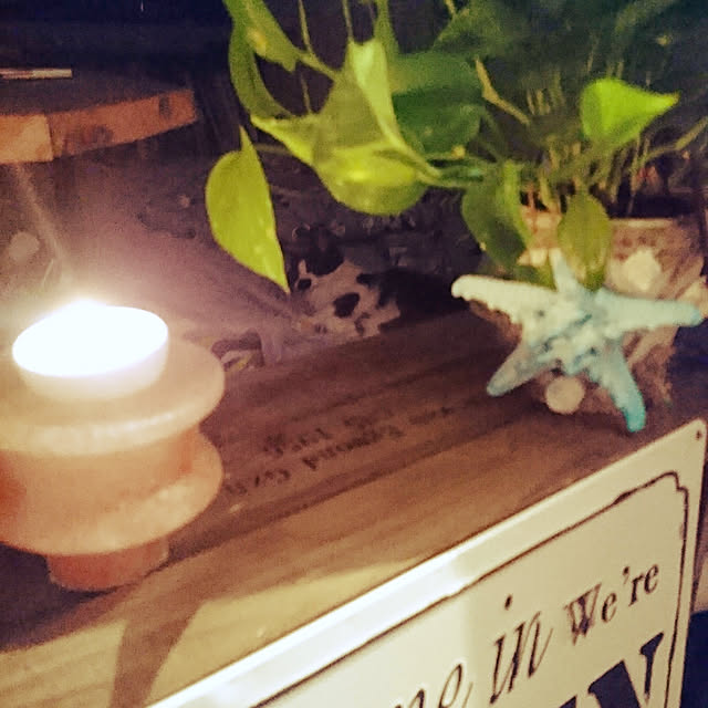 kajyuさんの実例写真