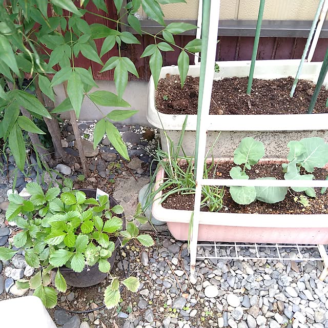 ameamekaasanさんの部屋