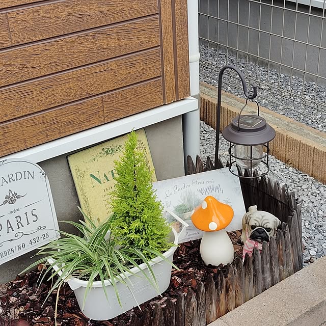 hanamocoさんの部屋