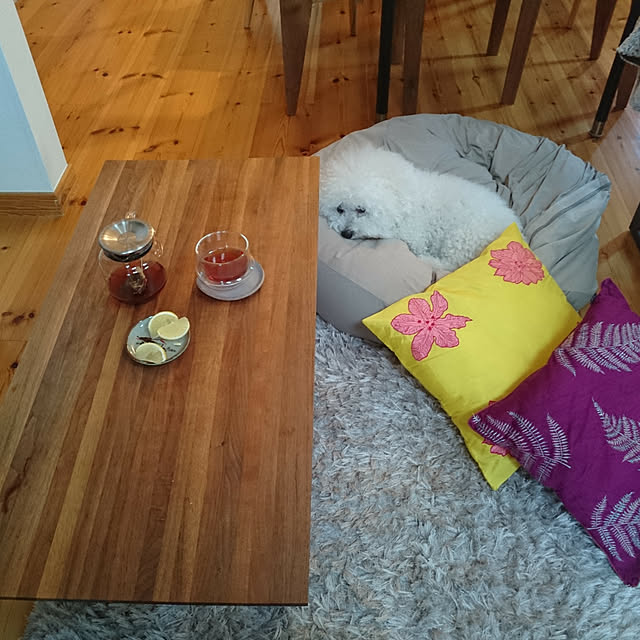 musaさんの実例写真