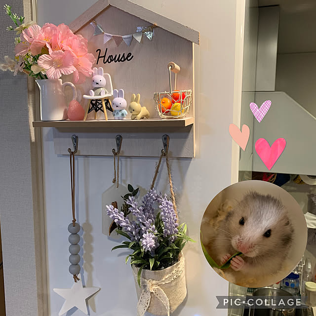 KONBUさんの実例写真