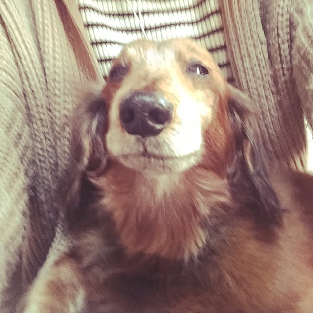 Miya.さんの実例写真