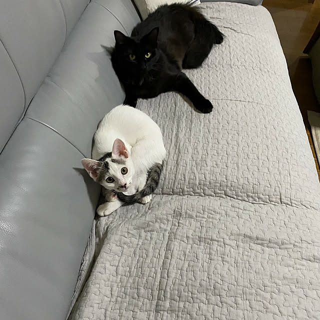 kumiさんの実例写真