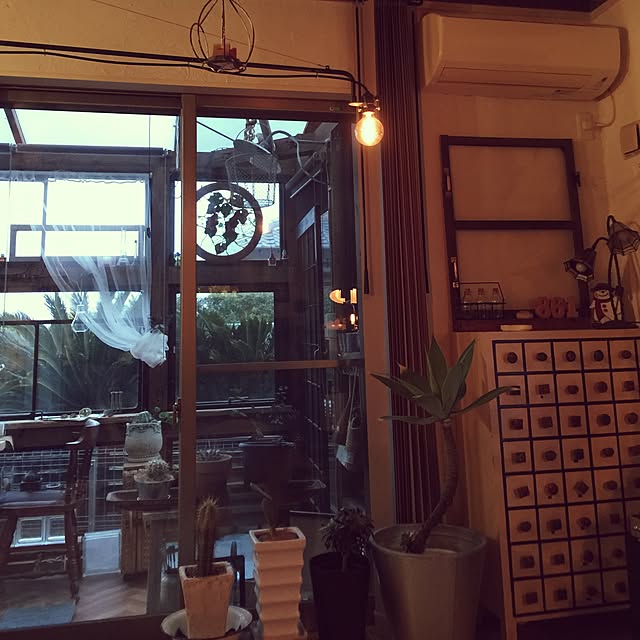 Risaさんの実例写真