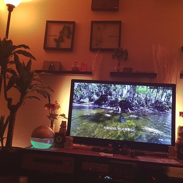 mossさんの実例写真
