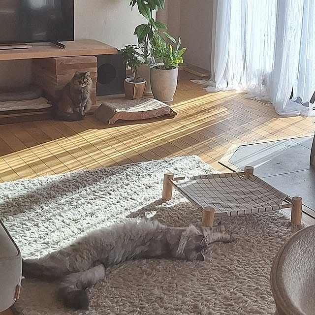 toramonaさんの部屋