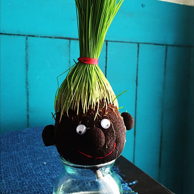 Masamiさんの実例写真