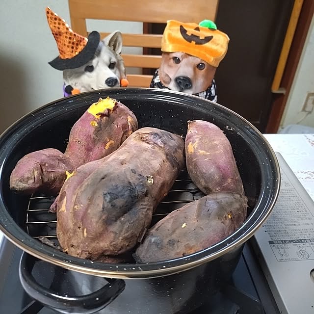 NOAHさんの部屋