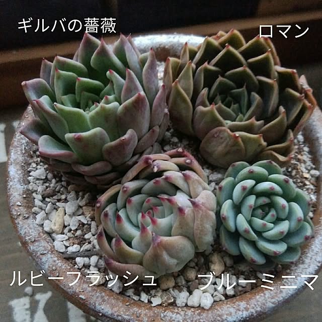 j.tさんの実例写真