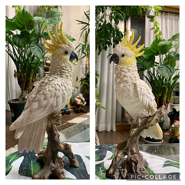 Aqettyさんの実例写真