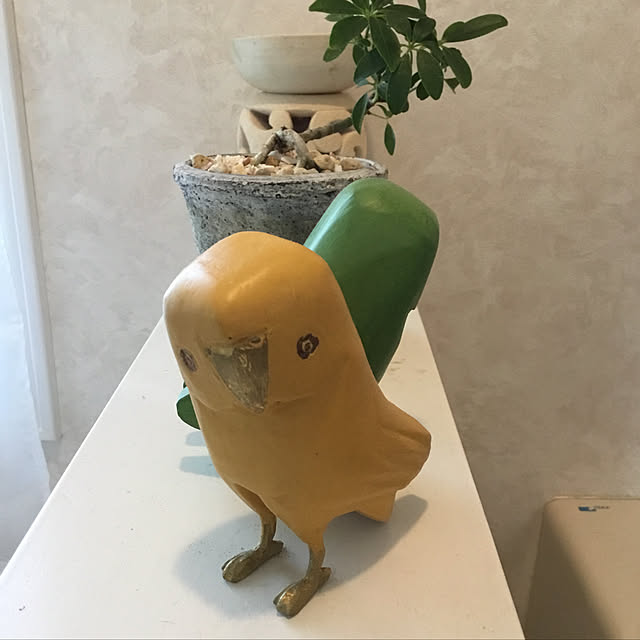 KahoruEgawaさんの実例写真
