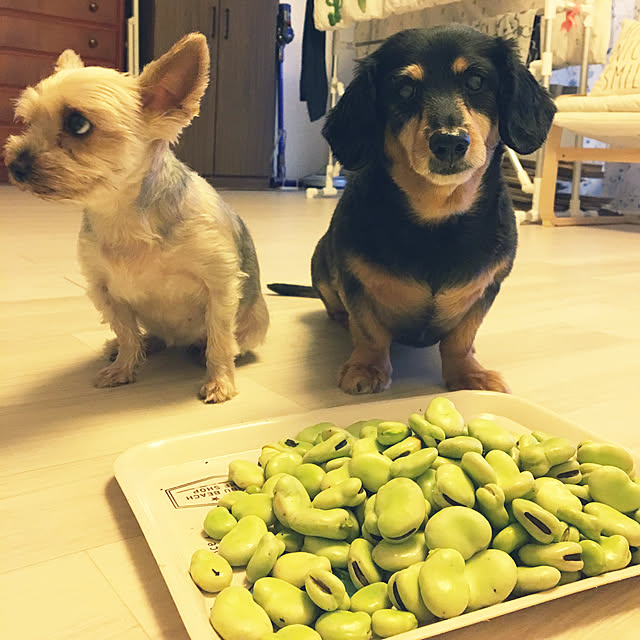 ohanaさんの実例写真