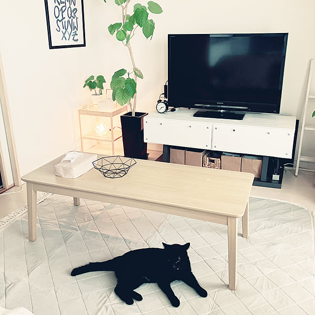 nekomiさんの実例写真