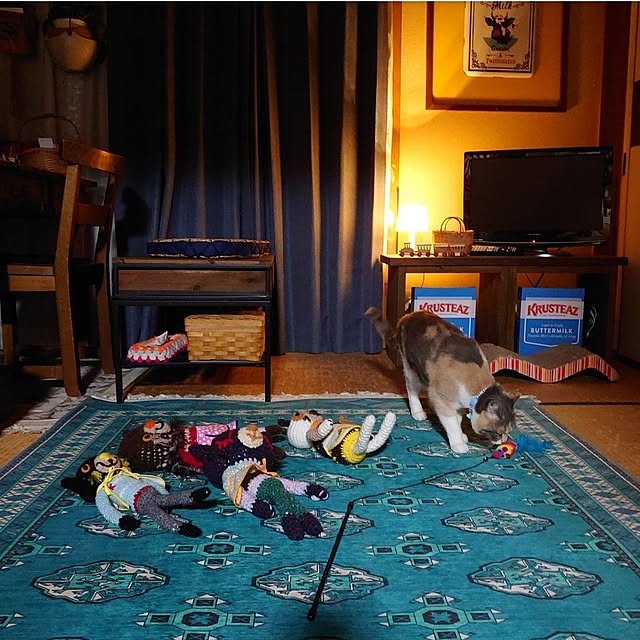 fukuさんの実例写真