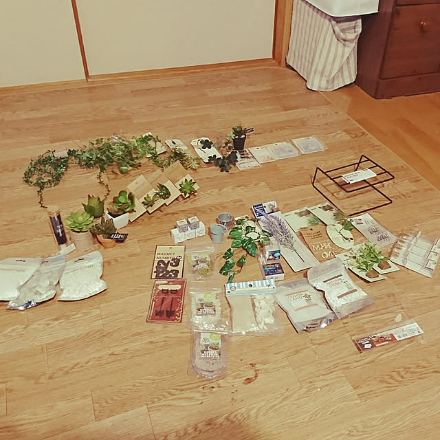macoさんの実例写真