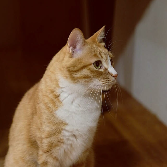 okaasanさんの実例写真