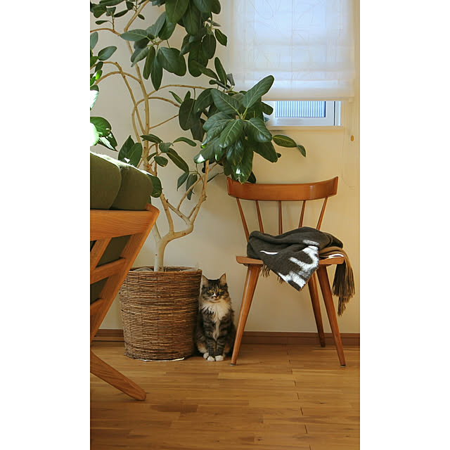 Hisashiさんの実例写真