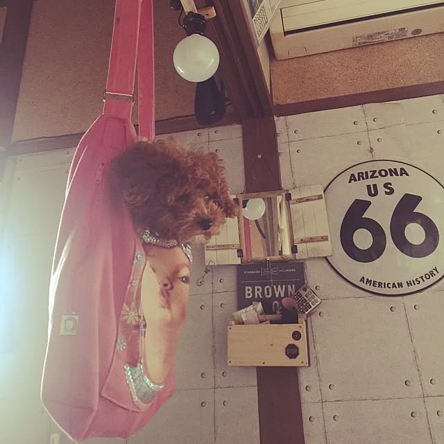 sei.kan.hide.chiyoさんの実例写真