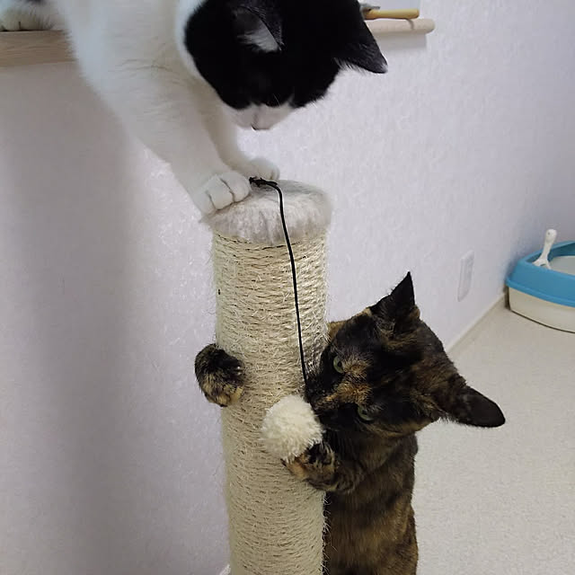 ohagiさんの実例写真