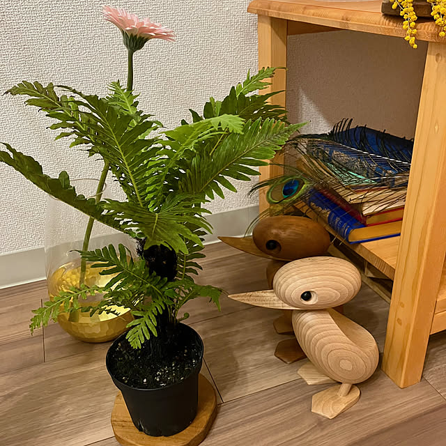 mimoriさんの実例写真