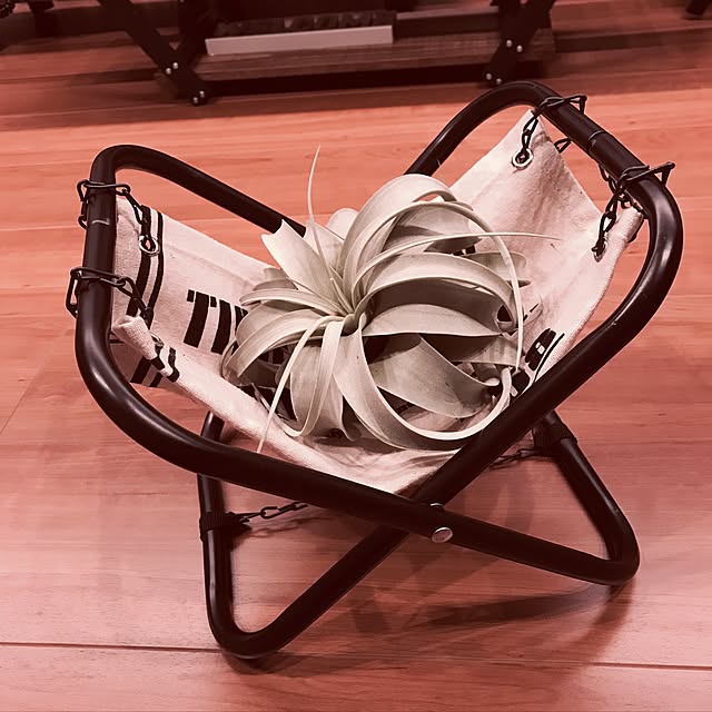 kaekaeさんの実例写真