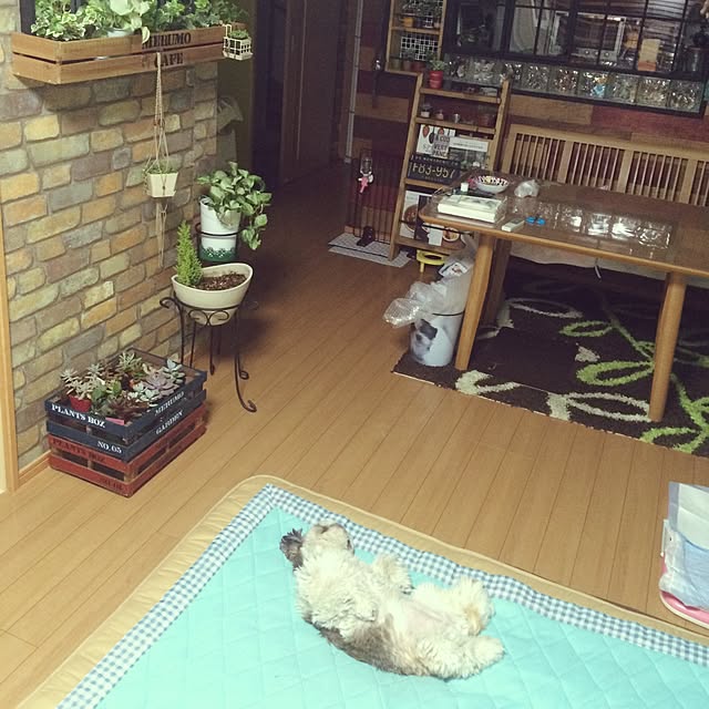 ANNAさんの実例写真