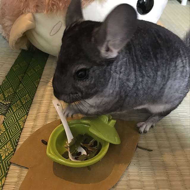 bambiさんの実例写真